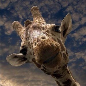 Meet your Posher, Rocio